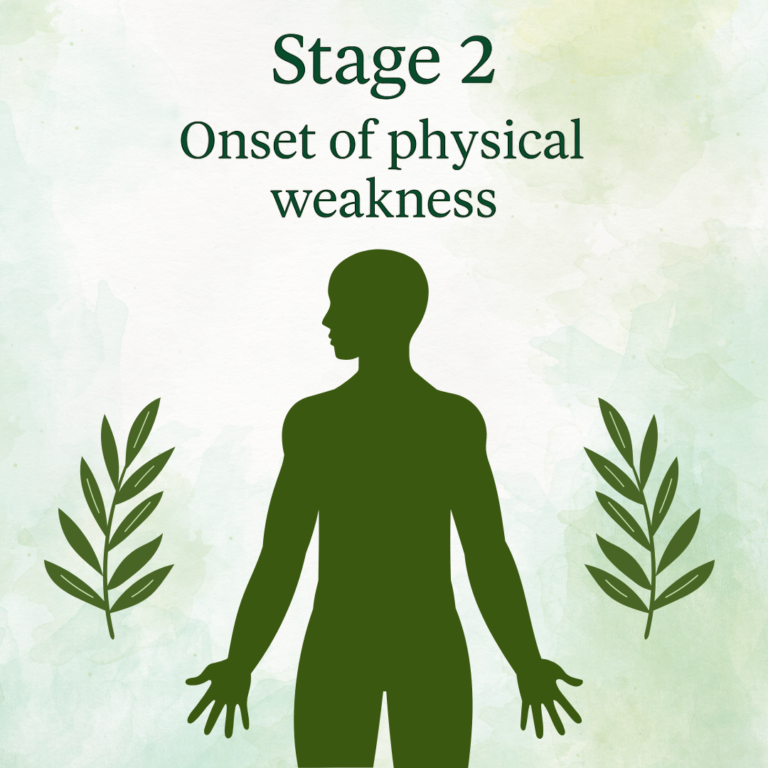 Stage 2: Onset of physical weakness
