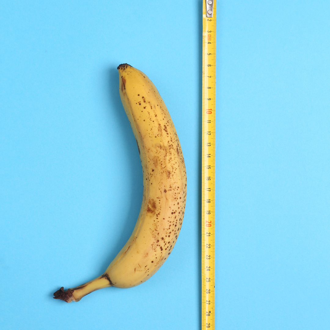 What Is the Average Penis Size?